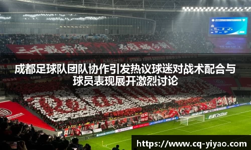 成都足球队团队协作引发热议球迷对战术配合与球员表现展开激烈讨论