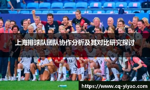 上海排球队团队协作分析及其对比研究探讨